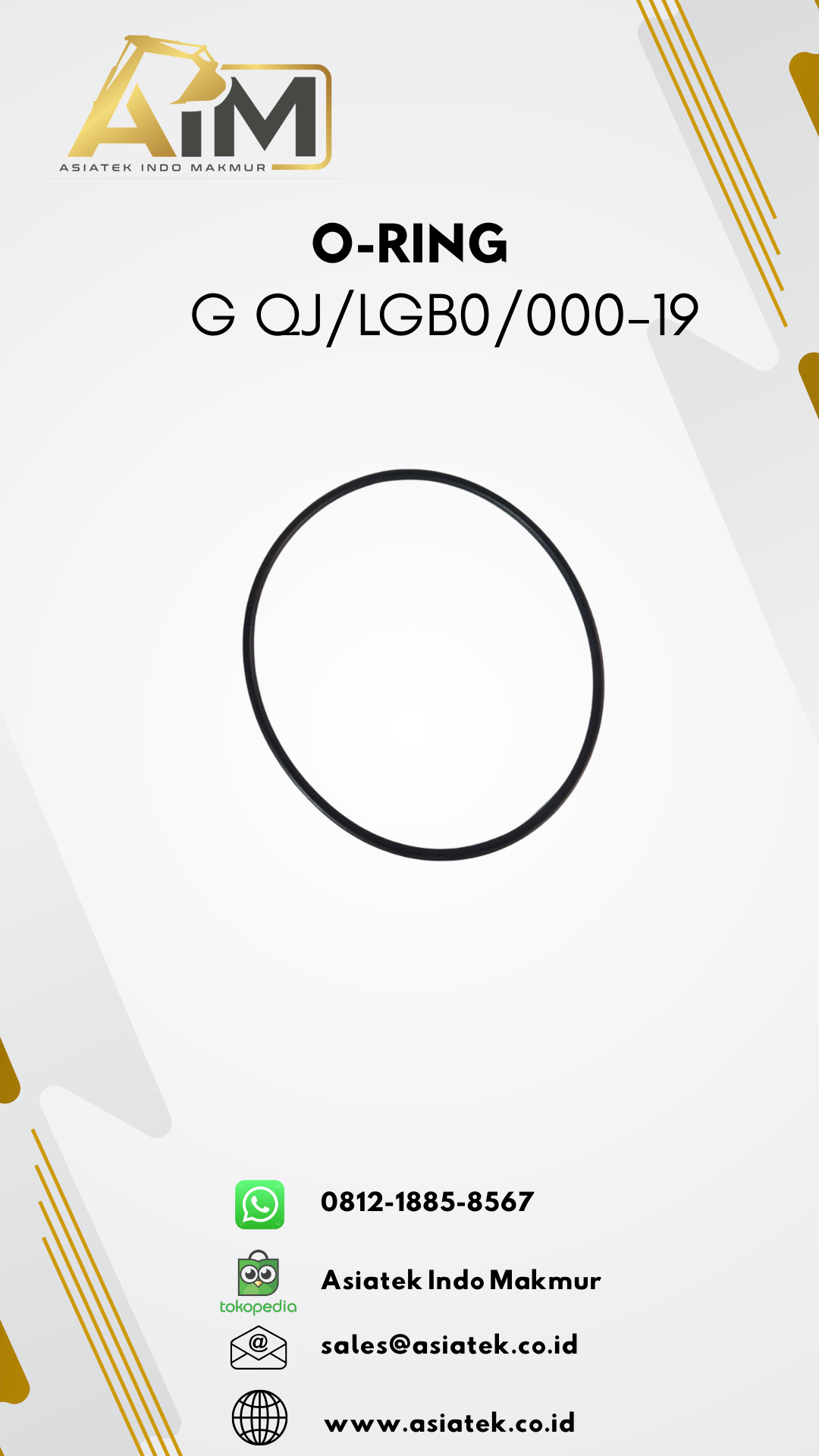 O-RING (QJLGB0000-19)